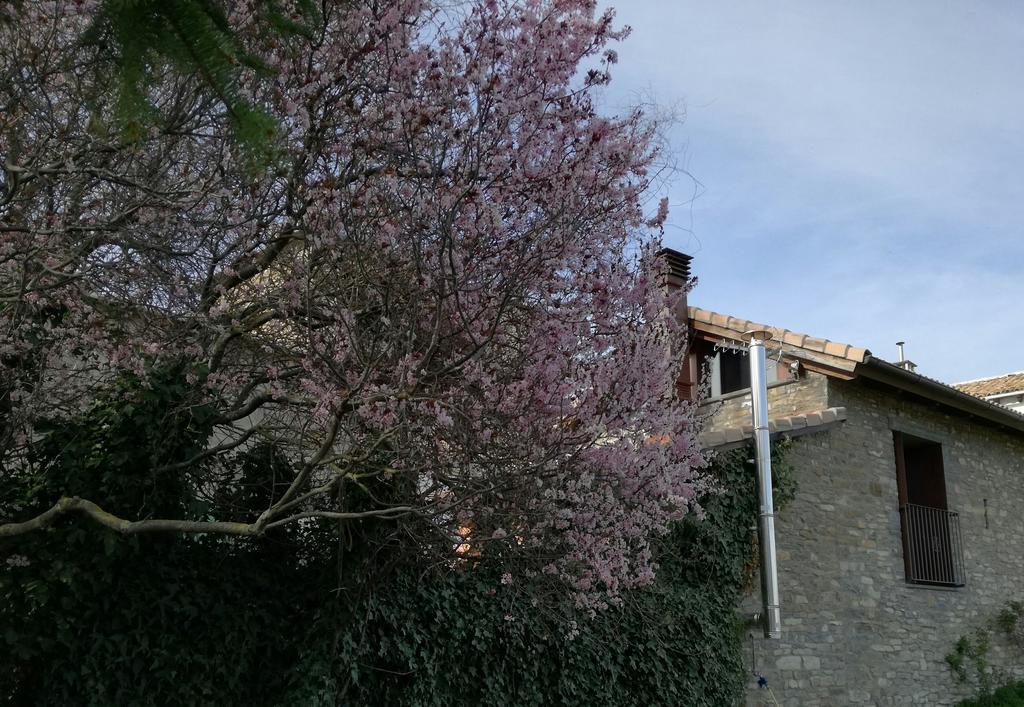O Zierzo Villa Jaca Eksteriør bilde